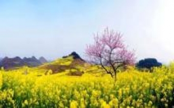 Hạnh phúc chân thật
